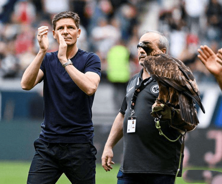 关于迈阿密热火训练开放日，集结日外线爆发引欢呼，法甲在即，团队化学反应显著的信息